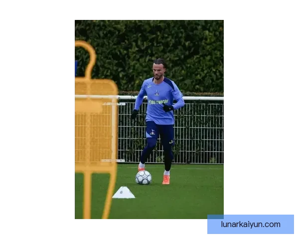 詹姆斯·麦迪逊近期表现稳健，状态持续提升提升